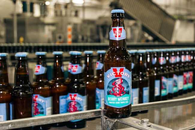 Victory Sour Monkey
