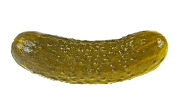 The Portland Pickles Mascot Is Going Viral For A Hilariously Raunchy Pic