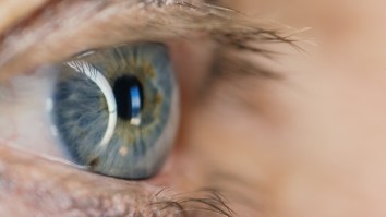 Mindblowing New Study Suggests Our Lives Do Actually Flash Before Our Eyes Before We Die