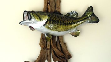 Pro Angler Randy Howell Broke The Major League Fishing Record TWICE In Two Days With These Massive Fish