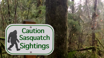 Woman Shares Harrowing Tale Of What She Believes Was An Encounter With Bigfoot