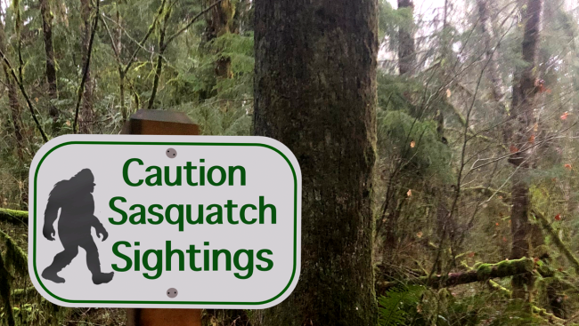 Woman Shares Tale Of Encounter With Bigfoot