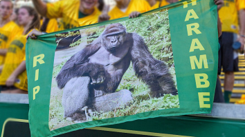 Despite Dying Six Years Ago, The Cleveland Guardians Tweeted Out A Harambe Meme, Proving Our King Is Eternal