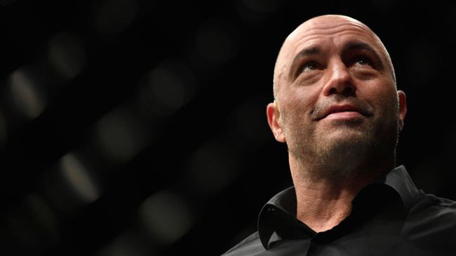 Joe Rogan Weighs In On Johnny Depp's Trial Against Amber Heard