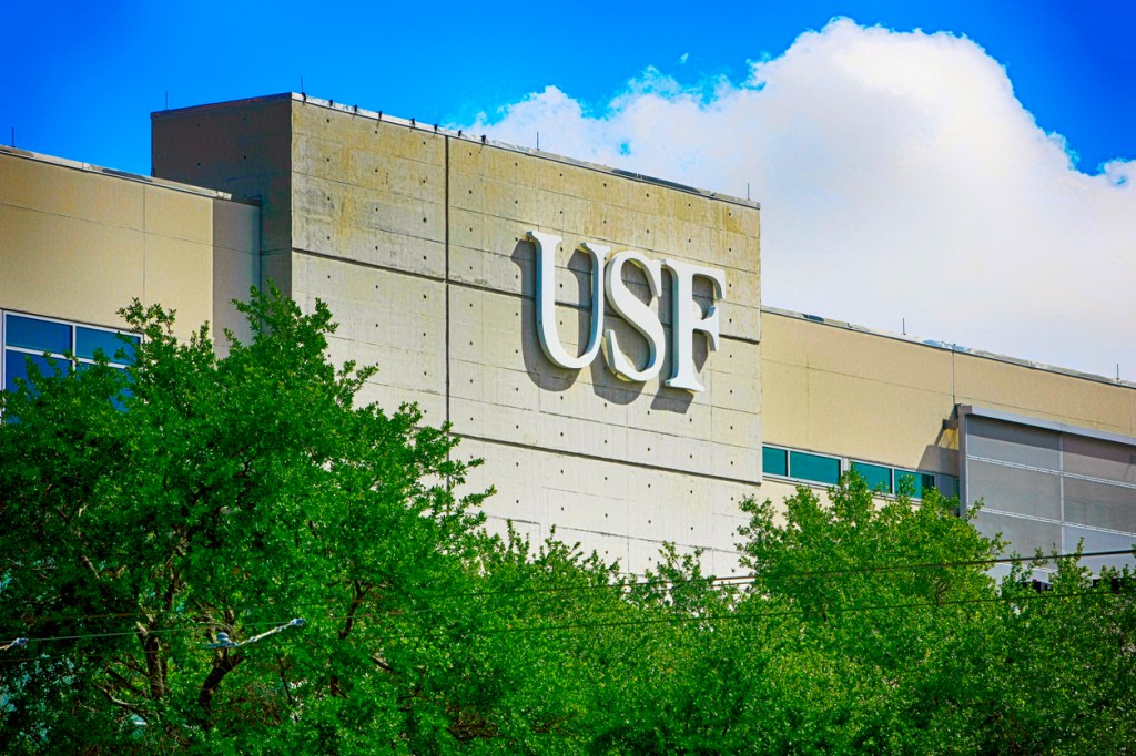 Tampa Bay Lightning Owner Puts Up $5 Million Towards USF's Insane New Football Stadium 