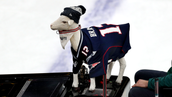 Fans Loved Tom Brady’s Unusual Sports Challenge To LeBron James On Twitter, Want To Make It Happen