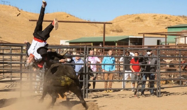 'Jackass' Is Officially Coming Back As A TV Show On Paramount+