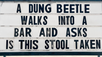 50 Best Memes And Funny Tweets Of The Day