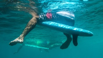 Teen Surfer Attacked By Shark Gives Legendary Interview While Rocking Wetsuit Outside Hospital