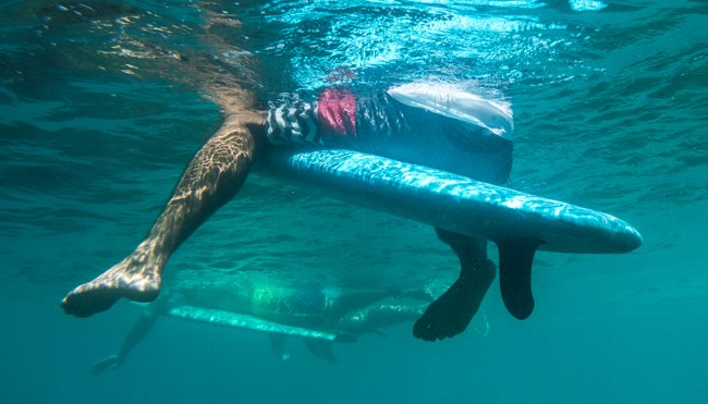 Surfer Attacked By Shark Gives Legendary Interview Outside Hospital