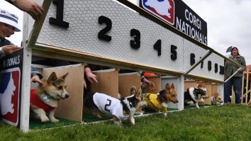 The Most Important Race Of The Year Ended Up Being Decided By A Literal Whisker