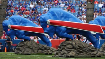 Bills Fans Freaking Out Over Former Titans Punter Refusing To Play For Them After Matt Araiza Release