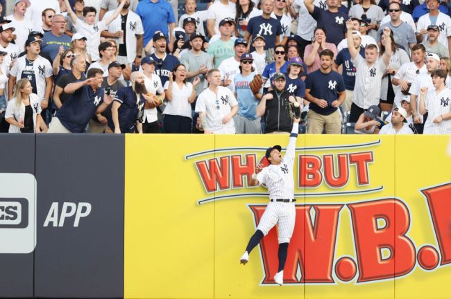 new-york-yankees-rookie-makes-impressive-grab-rob-home-run