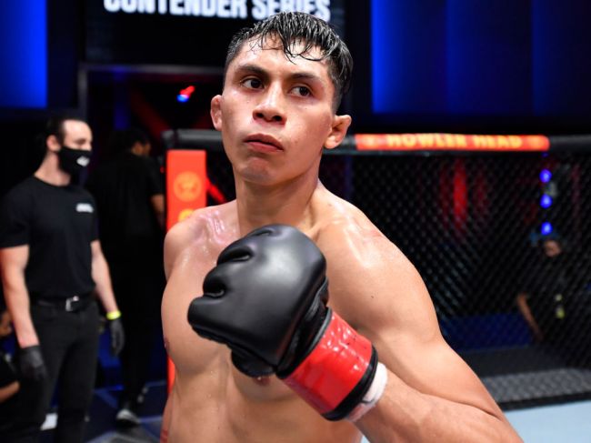 ufc-278-gets-off-to-wild-start-absolute-slugfest