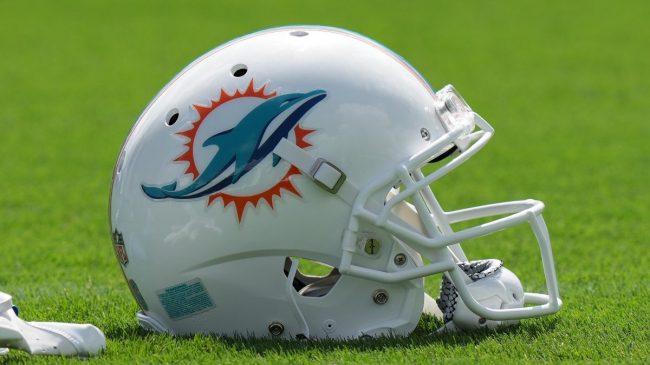 Dolphins Fans Are Flabbergasted By Bonkers Butt-Punt Vs. Bills