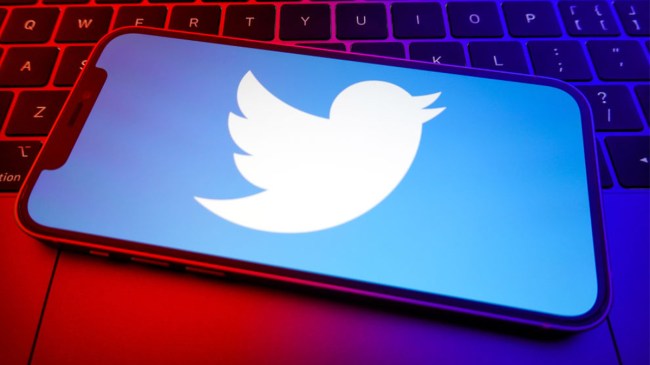 Twitter logo on phone