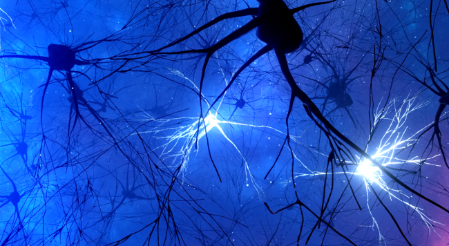 Scientists Spliced Human Brain Tissue Into The Brains Of Baby Rats