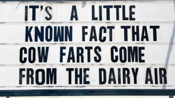 50 Of The Best Damn Photos On The Internet Today