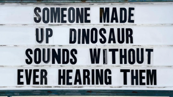 50 Of The Best Damn Photos On The Internet Today