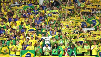 Brazil Fan Shows Up To World Cup Quarterfinal Against Croatia In The Coolest Costume You’ll Ever See