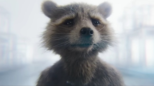 rocket in guardians of the galaxy vol 3