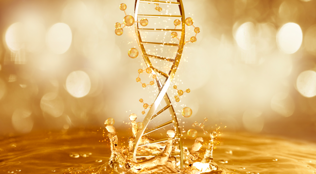 gold dna strand 18 year old