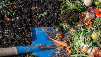 Internet Has Mixed Reactions To New York Legalizing The Composting Of Human Bodies