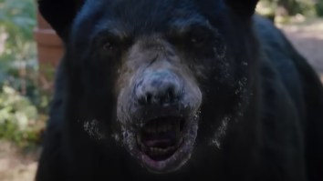 Pusha T Naturally Recorded An Incredible Remix For The ‘Cocaine Bear’ Soundtrack