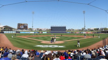 MLB Reporter Accidentally Nails Kid In The Head With A Baseball At Spring Training