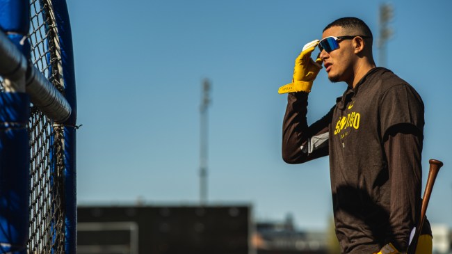 Padres third baseman Manny Machado
