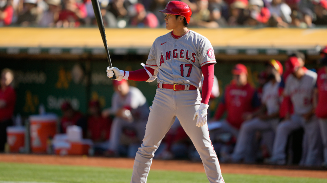 Shohei Ohtani stands in the batter's box.