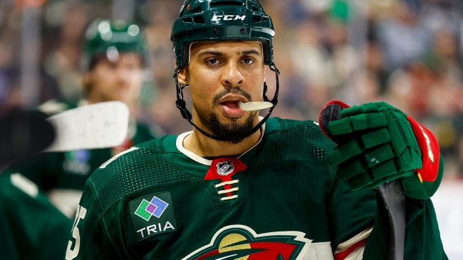 Minnesota Wild forward Ryan Reaves