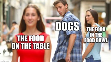 50 Of The Funniest Tweets And Best Memes You’ll See Today