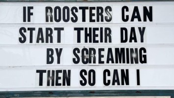 50 Funniest Tweets And Memes Of The Day