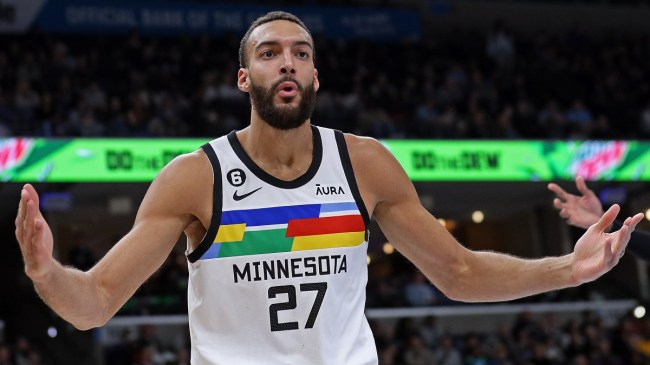 Timberwolves center Rudy Gobert