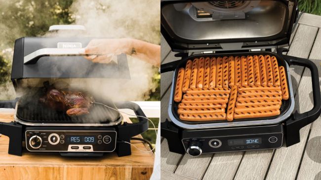 Ninja Woodfire Pron Outdoor Grill