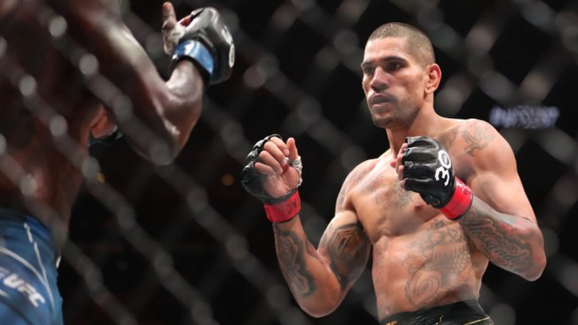 UFC middleweight Alex Pereira