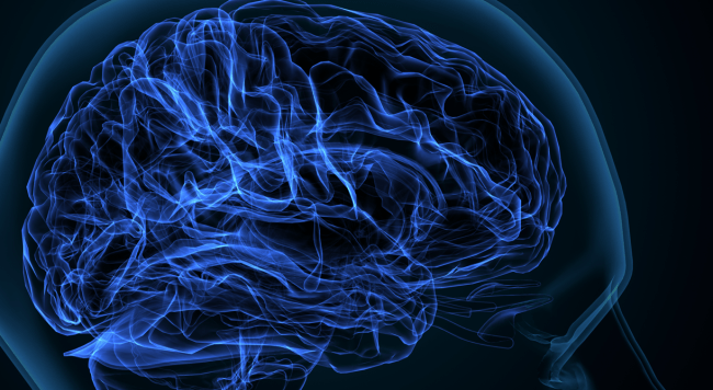 brain 3d image - robot injected monitors activity