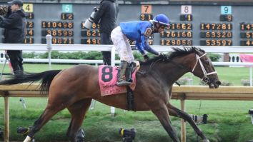 How Many Horses Have Died At Kentucky Derby? A Closer Look At The Dark Side Of The Race