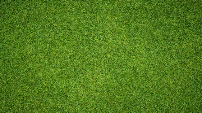 A view from above a golf course.