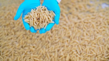 Hundreds Of Pounds Of Cooked Pasta Mysteriously Dumped In NJ Forest Leads To Questions