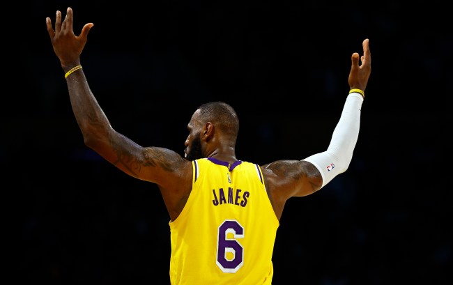 LeBron James celebrates after winning a game