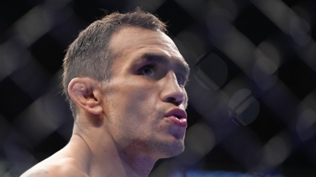 UFC star Tony Ferguson