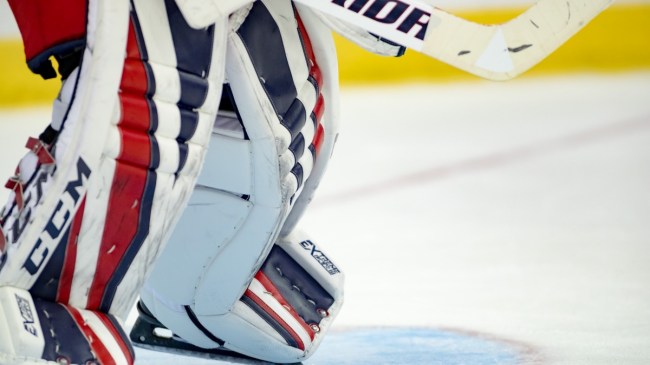 Hockey goalie pads