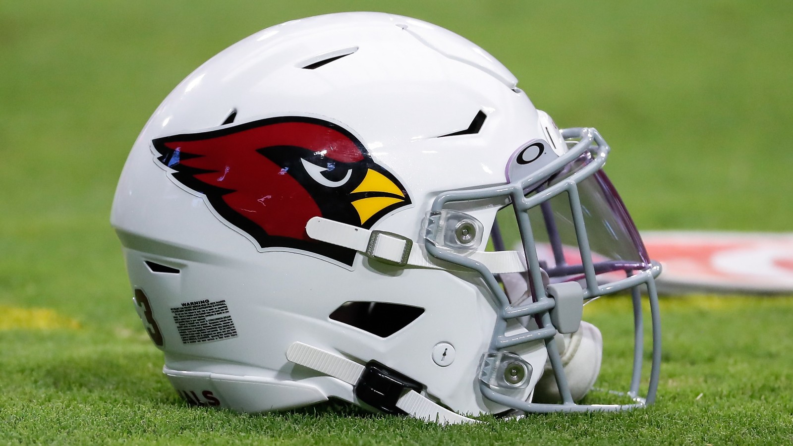 Cardinals Logo
