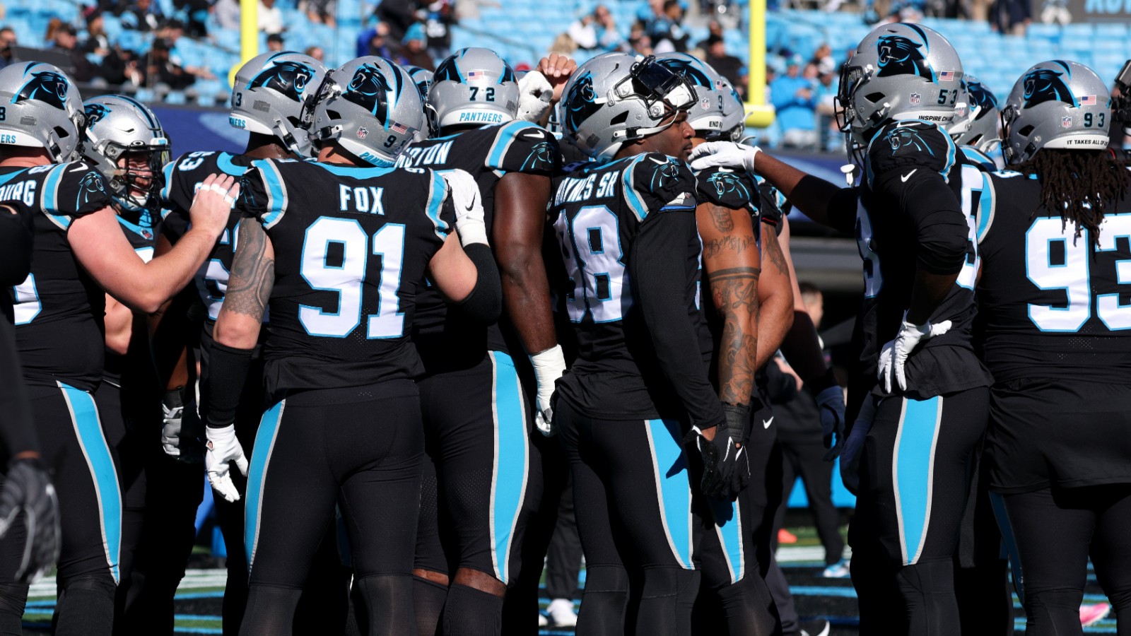 Panthers Defense