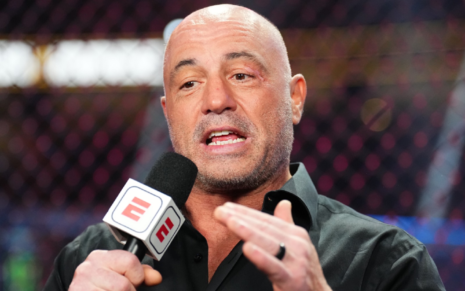 Joe Rogan on TV 
