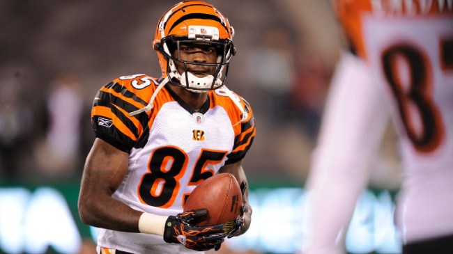 Chad Ochocino on field for the Bengals