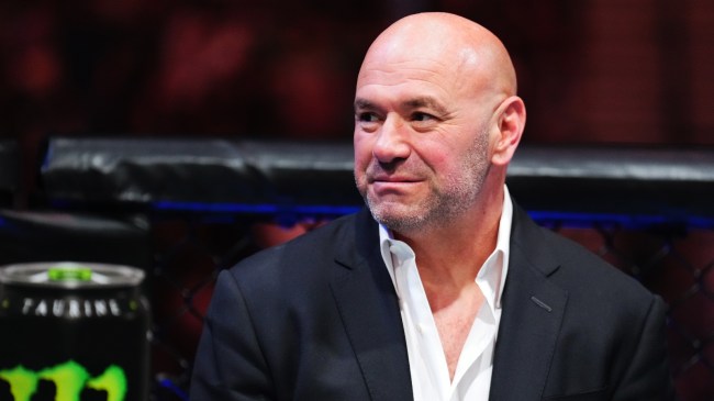 UFC President Dana White