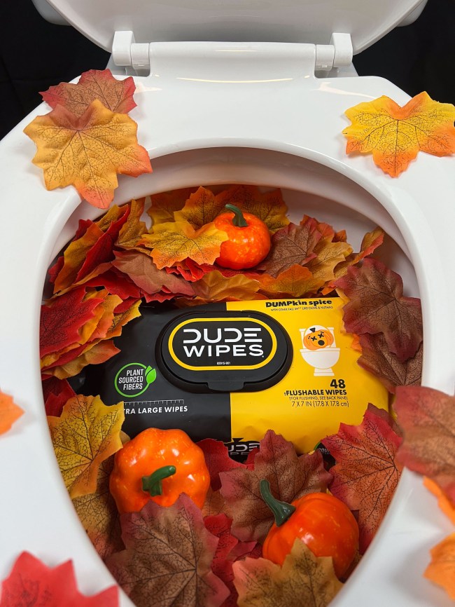 Dude Wipes Pumpkin Spice